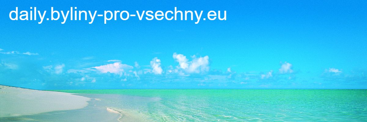 daily.byliny-pro-vsechny.eu